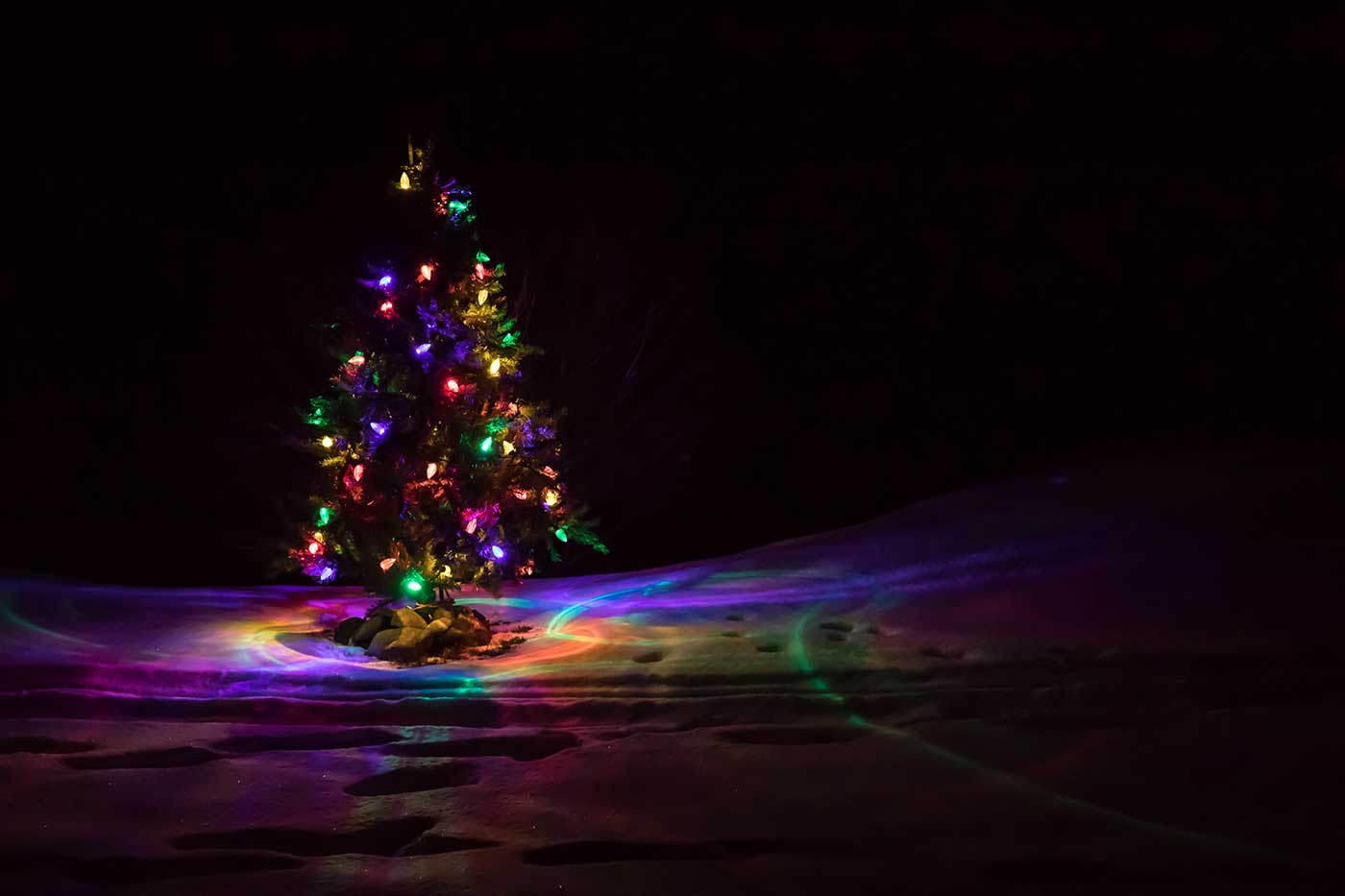 Inland Empire Paper Tree Lighting Millwood Now
