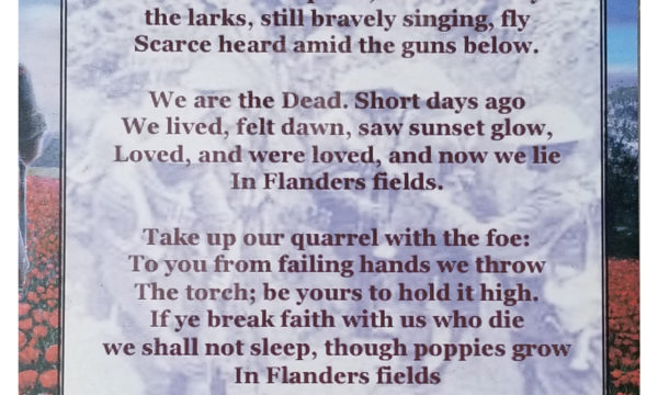 Flanders-Fields-web